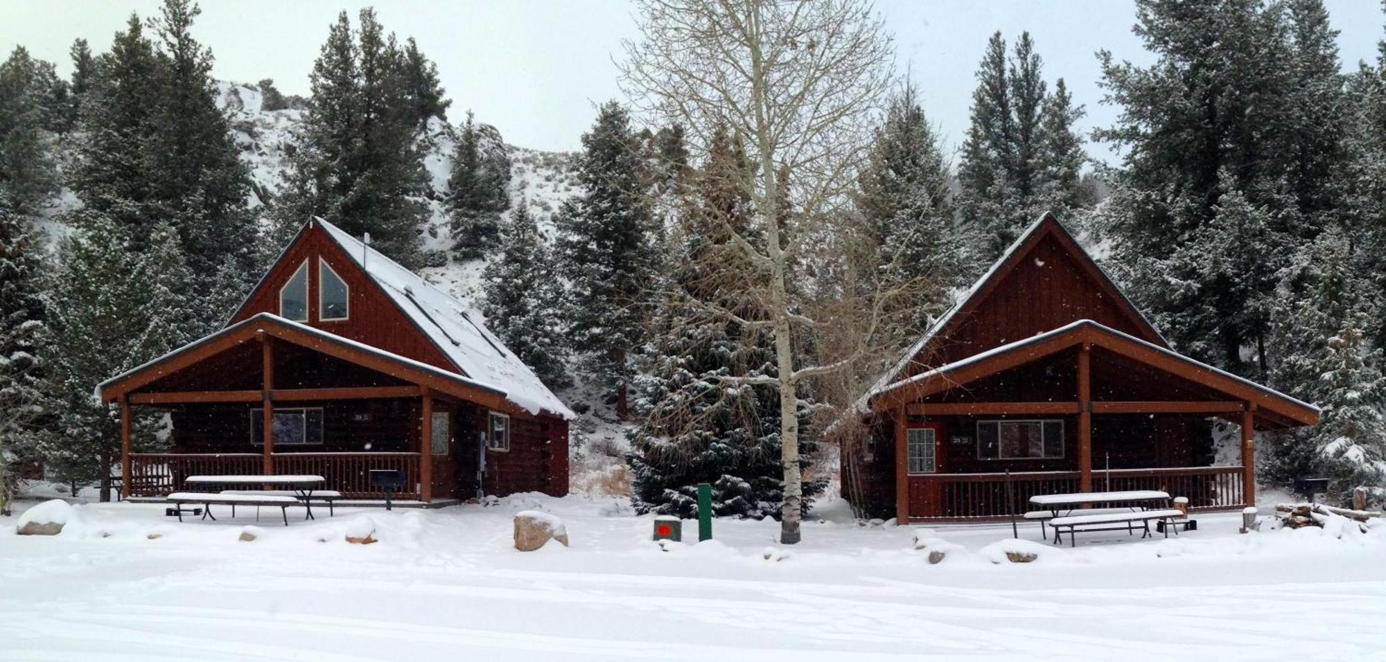 Cabin 28 Almont Dış mekan fotoğraf